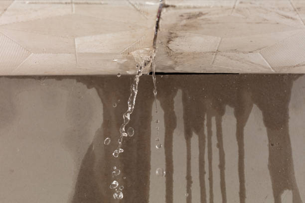 Professional Structural Drying technician working in Lane City, TX